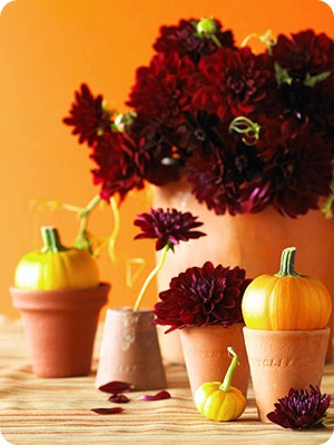 bhg garden party dahlias