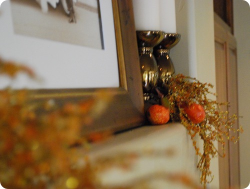 glitz and gourds