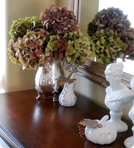highboy hydrangea