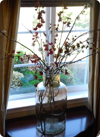 purple branches in window