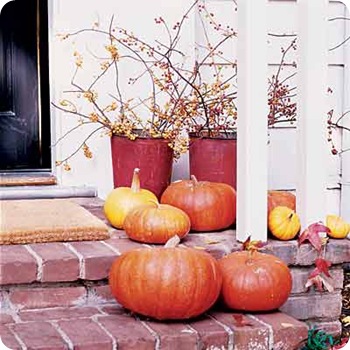 sunset porch pumpkins