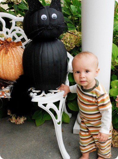 baby brody
