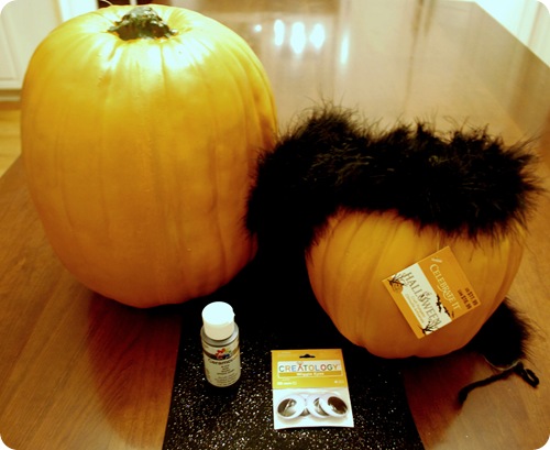 black cat supplies