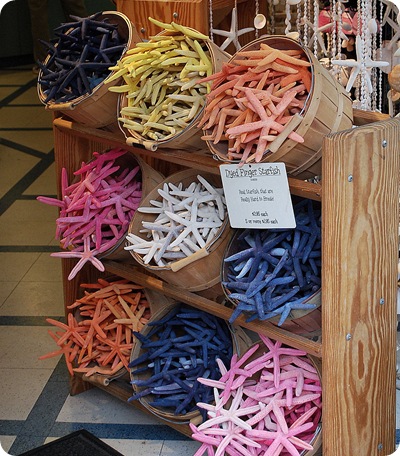 colored starfish