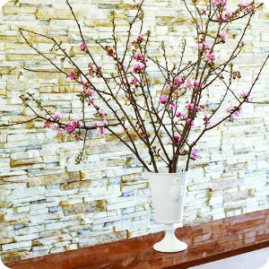 crabapple branches sunset magazine