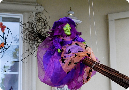 curly willow witch