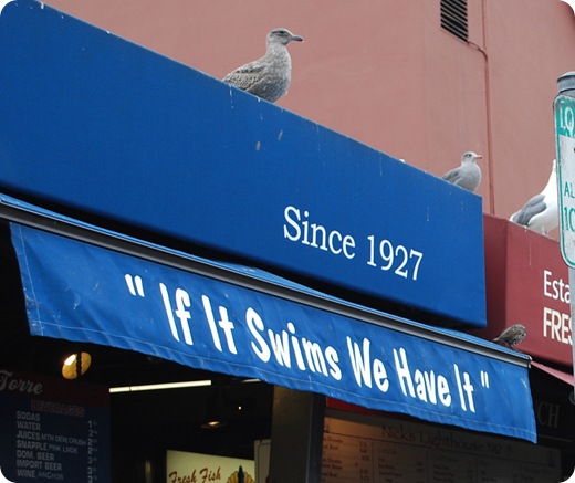 if it swims