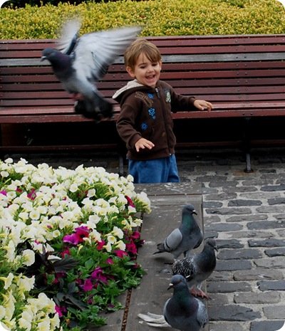 little dude chasing