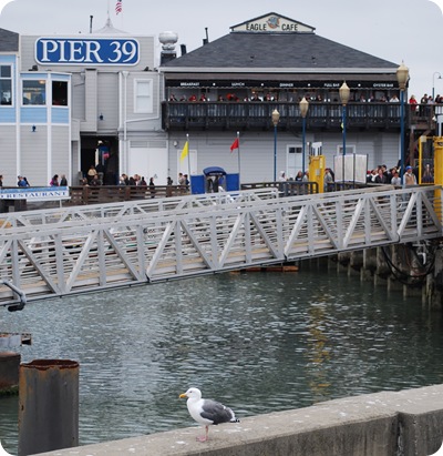 pier 39