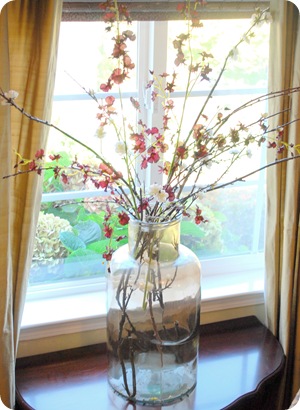 purple branches in window
