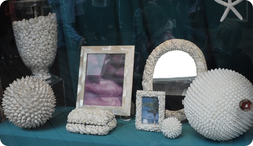 shell accessories