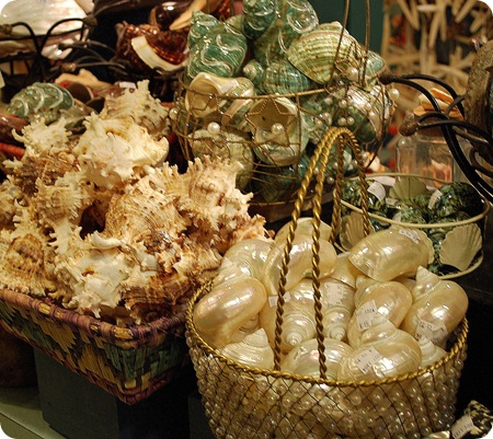 shell shop display