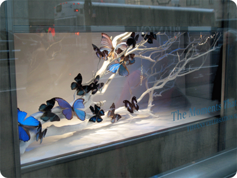 window at tiffany