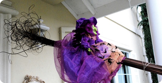 witch on willow broom