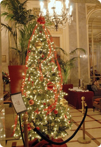 hotel tree