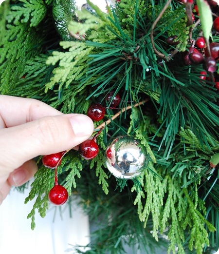 insert berries