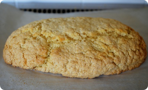 plain biscotti baked