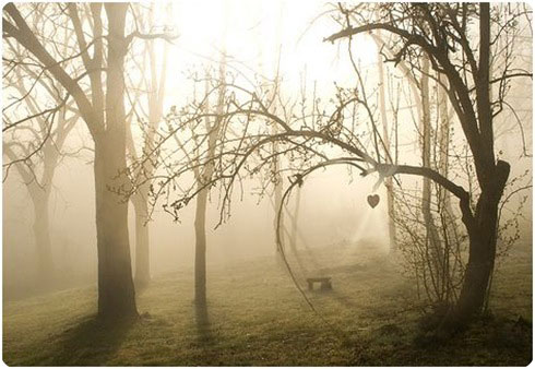 believer9 hearts in the morning