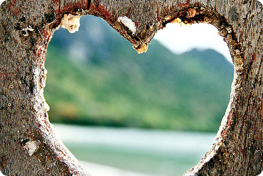 heart in tree