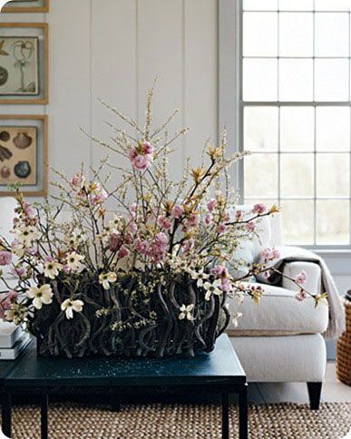 martha cherry and dogwood