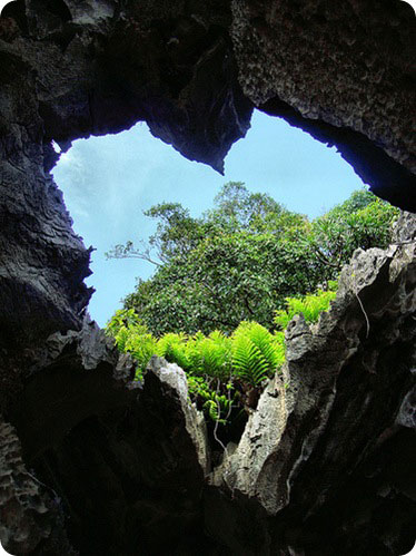 well find the yearnings