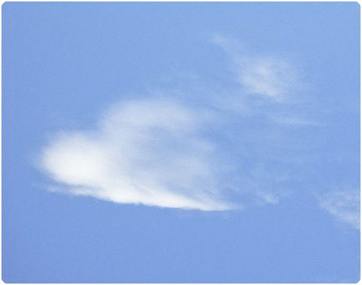 with a flutter of hearts