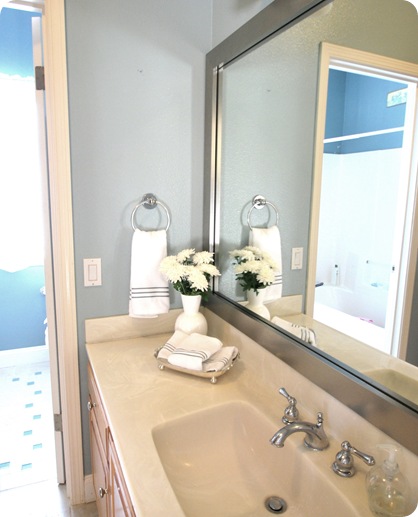 mirrormate from side