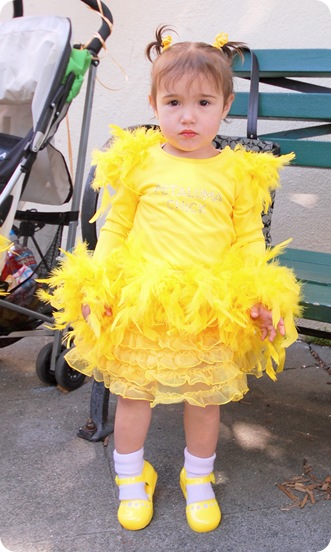 not happy chick
