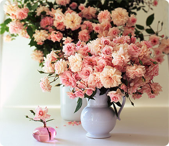 cecil brunner rosenotes typepad