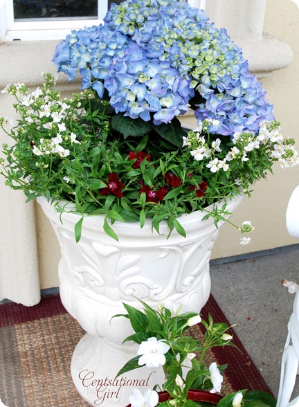 cg urn