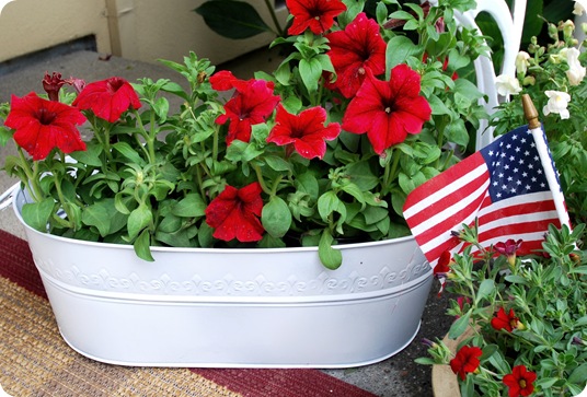 red petunias in bin