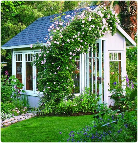 sunset cecil brunner