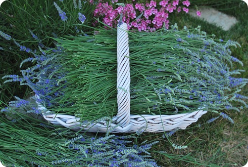 basket of lavender
