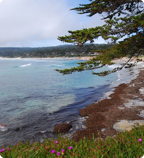 carmel coastline