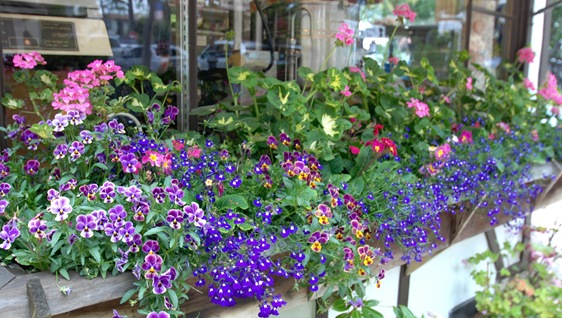 window boxes