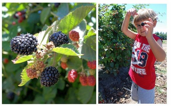 blackberry and boy