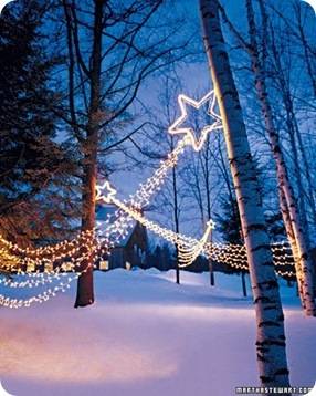 martha twinkle lights