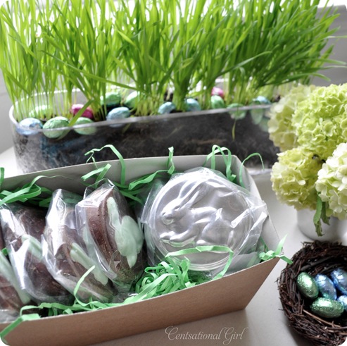 cg grass and bunnies