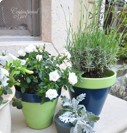 cg painted planters
