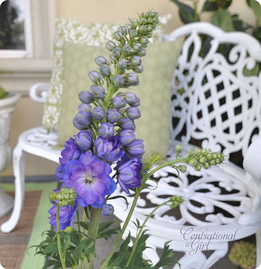 blue delphinium on porch