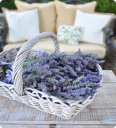 lavender in basket