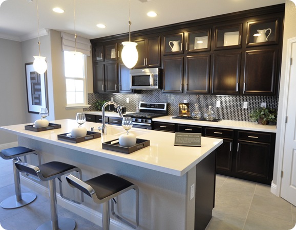 sleek black white kitchen