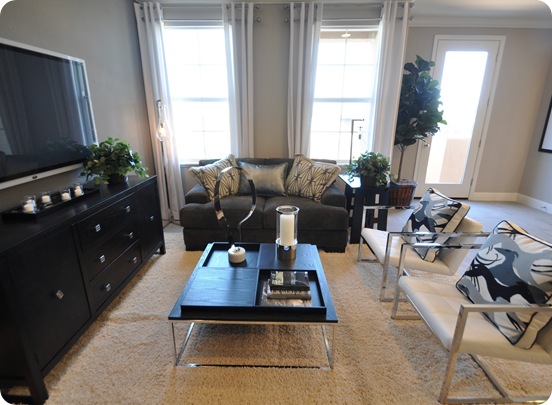 tv area
