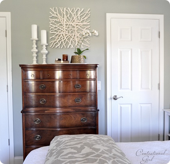 centsational girl mister side