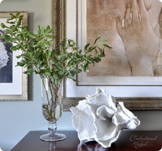 cg branches and coral