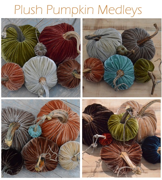 plush pumpkin medleys