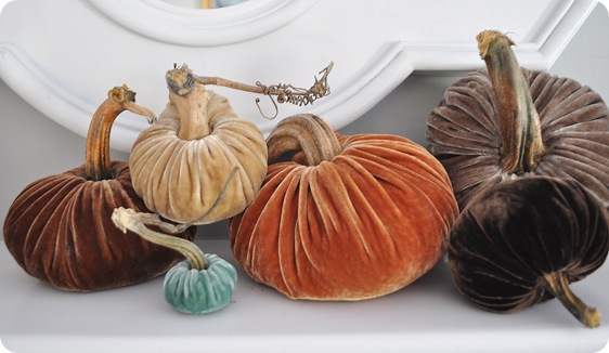 set of six plush pumpkins