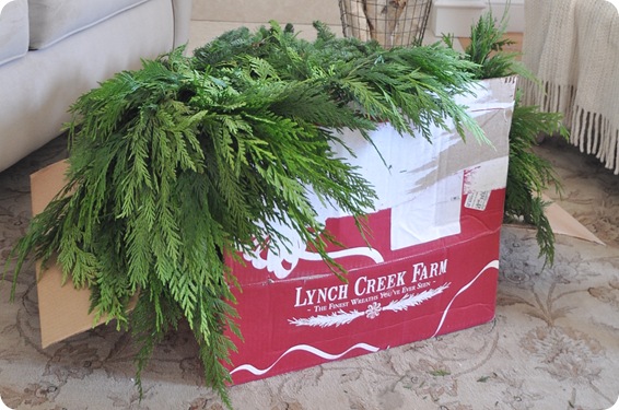 lynch creek greenery