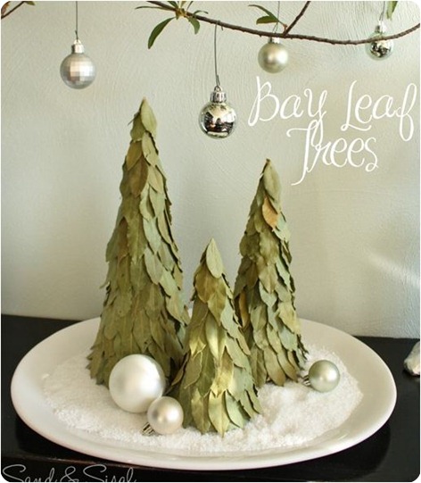 bay leaf trees sand and sisal