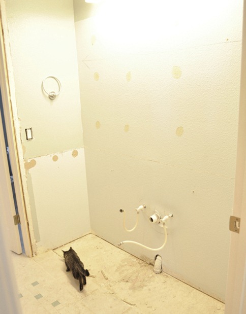 bathroom blank canvas